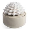 Candles & Warmers * | Hot Sale Airome Succulent Porcelain Diffuser