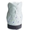 Candles & Warmers * | Fashionable Candle Warmers Owl Ultrasonic Diffuser